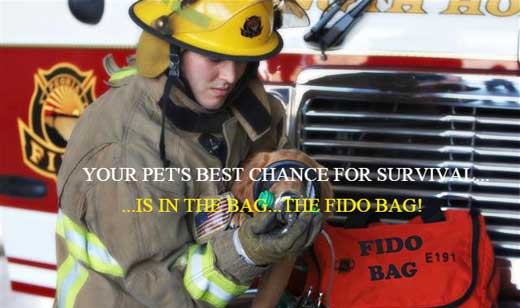 fido bag